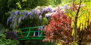 Kebun Romantis di Paris yang Bisa Jadi Tempat Nge-date Favorit