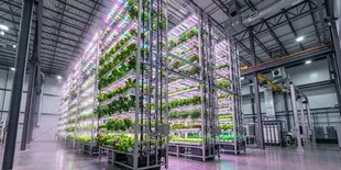 Kebun Vertikal 18 Meter, Solusi Berkebun di Tengah Keterbatasan Lahan Perkotaan