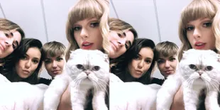 Kekayaan Kucing Peliharaan Taylor Swift Mencapai Rp1,5 Triliun!