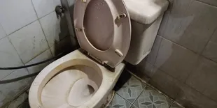 Kenali Penyebab Cacing di Lantai Kamar Mandi dan Temukan Solusi Ampuh untuk Mengatasinya!