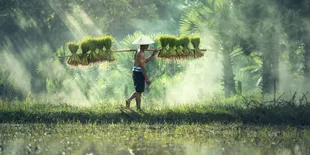 Keren! Masyarakat Desa di Bali Kini Bisa Hidup Sejahtera Berkat BaliPay
