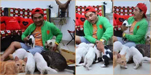 Kucing, Teman Setia Jeremy Teti di Rumah