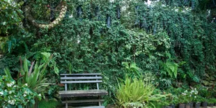 Kunjungi Taman Vertikal Terbesar di Dunia Ini, Yuk!