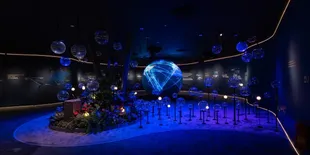 Lagi Transit atau Liburan ke Singapura? Mampir ke T5 In the Making Exhibition di Changi Airport