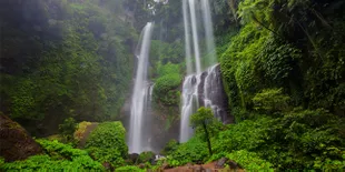 Las Pozas, Taman di Tengah Belantara