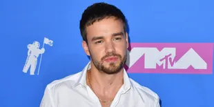 Liam Payne Tak Ambil Andil Dalam Membesarkan Anaknya Dengan Cheryl