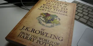 Luar Biasa, Ribuan Gadis Ikut Audisi Film Terbaru Harry Potter