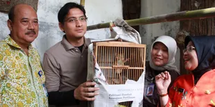 Lucky Hakim Serahkan Tiga Hewan Dilindungi ke Ragunan