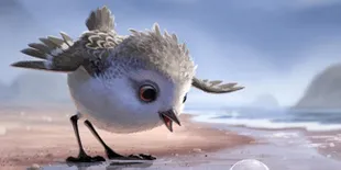 Lucu! Burung Yang Takut Air Ini Jadi Pembuka Film 'FINDING DORY'