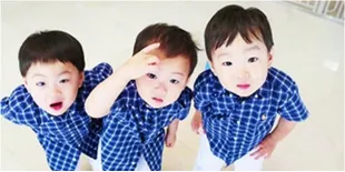 Lucunya Daehan, Mingguk, Manse Main-Main Dengan Buaya