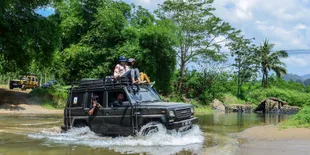 Main ke Banyuwangi, Jajal Mampir ke Taman Nasional Meru Betiri Aja!