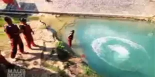 [Males Banget] Ternyata Dinosaurus Nggak Ada di Yogyakarta, Lalu?