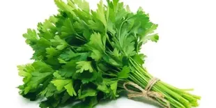 Manfaat Sehat Daun Seledri, Resep Praktis Turunkan Kolesterol dan Atasi Darah Tinggi