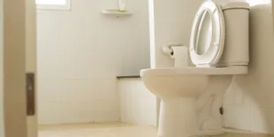 Menarik, Jepang Punya Museum Toilet!