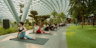 Menepi Sejenak di Tengah Perjalanan, Rasakan Pengalaman Wellness Berbeda di Jewel Changi Airport