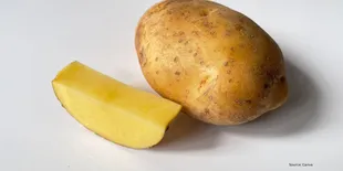 Mengukus Kentang di Rumah Tanpa Alat Kukusan