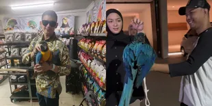 Momen Burung Macaw Milik Rezky Aditya Lepas, Akhirnya Berhasil Diamankan - Athar: Maaf Suka Isengin Kamu