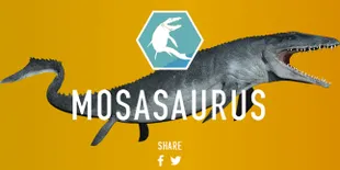 Mosasaurus, Kadal Raksasa Yang Hobi Makan Ikan Hiu Putih