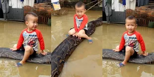 Naiki Python Raksasa, Balita Ini Justru Bahagia