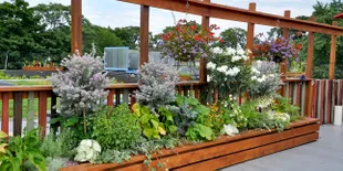 Nikmati Sensasi Bercocok Tanam di Atas Gedung Ini