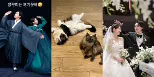 Potret Perdana Park Shin Hye Setelah Menikah dengan Choi Tae Joon, Unggah Momen Pernikahan yang Belum Terungkap - Foto Kucing Kesayangan