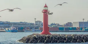 Pulau Jeju Viral, Dugaan Perdagangan Manusia Laporan WNI Ikut Tersorot