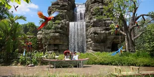 Quality Time Sekaligus Belajar Alam di Bird Paradise, Aviari Terbesar di Asia!