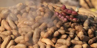 Rahasia Rebus Kacang Gurih dan Lembut Tanah Hanya 12 Menit