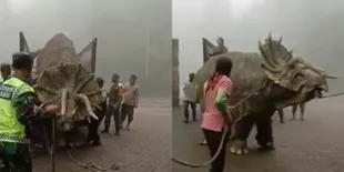 Ramai Dinosaurus Triceratops Muncul di Magetan, Ternyata Ada Fakta Belum Banyak Orang Tahu