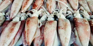 Rasakan Kenikmatan Tumis Cumi Asin Pete, Lauk Menggoda yang Bikin Nasi Tak Pernah Cukup!
