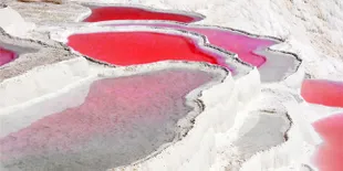 Rasakan Kesegaran Air Semerah Darah di Turki!