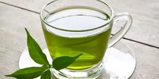 Resep Rebusan Daun untuk Menurunkan Kolesterol dan Mengontrol Darah Tinggi