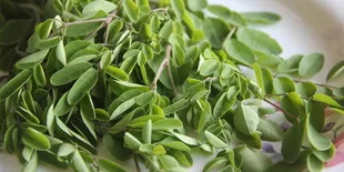 Resep Sayur Daun Kelor yang Praktis dan Cocok untuk Menu Sehari-hari