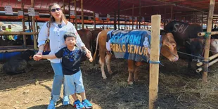 Rey Utami Kini Kerap Berbagi Kebaikan Terhadap Sesama, Terbaru Kurban Sapi Jumbo di Idul Adha 1444 H