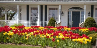 Rumah Sejuta Bunga Ini Dulunya Tak Berpenghuni, Lho!