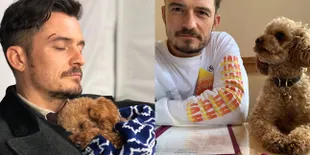 Sedih Banget, Orlando Bloom Bikin Tato Tribut Untuk Anjing Kesayangannya yang Hilang