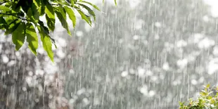 Siaga Banjir di Musim Hujan, Temukan Tips Ampuh untuk Menghadapi!