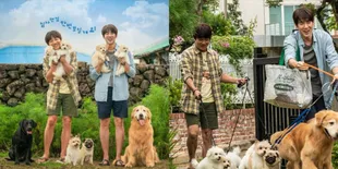 Sinopsis Film 'MY PUPPY', Kisah Mencari Keluarga Baru untuk Anjing Tersayang