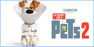 Sinopsis 'THE SECRET LIFE OF PETS 2', Saat Anjing Cemburu Dengan Bayi Pemiliknya
