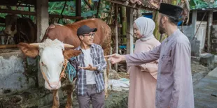 Solusi Beli Hewan Kurban yang Praktis, Cobain Yuk