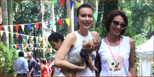 Sophia Mueller Bawa Anjing dan Kucing ke Salon 2 Minggu Sekali