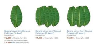 Tak Seperti di Indonesia, Harga Daun Pisang di Jepang Ternyata Bikin Menelan Ludah!