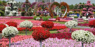 Taman Bunga Ini Akan Bikin Dia Terharu