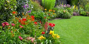 Taman Terkecil di Dunia Ada di Amerika, Lho!