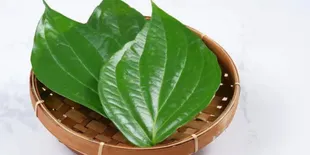 Tanaman Obat di Sekitar Kita, Resep Daun untuk Kolesterol dan Hipertensi