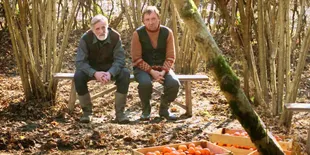 TANGERINES, Sebuah Seruan Anti Perang!