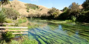 Te Waihou, Sungai Negeri Dongeng