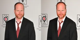 Ternyata Sutradara 'THE AVENGERS' Menyukai Film DC