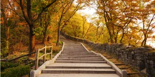 The Haiku Stairs, Tangga Menuju Surga di Hawaii