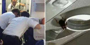 Tidak Higienis, Ratusan Kecoak Ditemukan di Dalam Pesawat